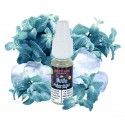 E-liquide Menthe Antarctique - Deevape