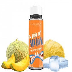 E-liquide Freeze Melon 50ml - Liquideo Freeze