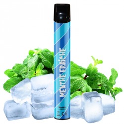 E-cigarette jetable Wpuff Menthe Fraiche (600 puffs) - Liquideo